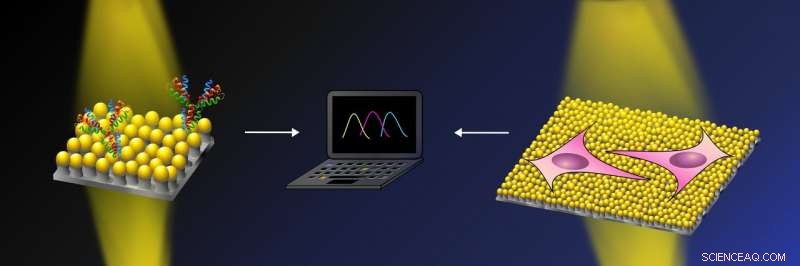 Nanomushroom Sensors: A Versatile Material for Advanced Biological Detection