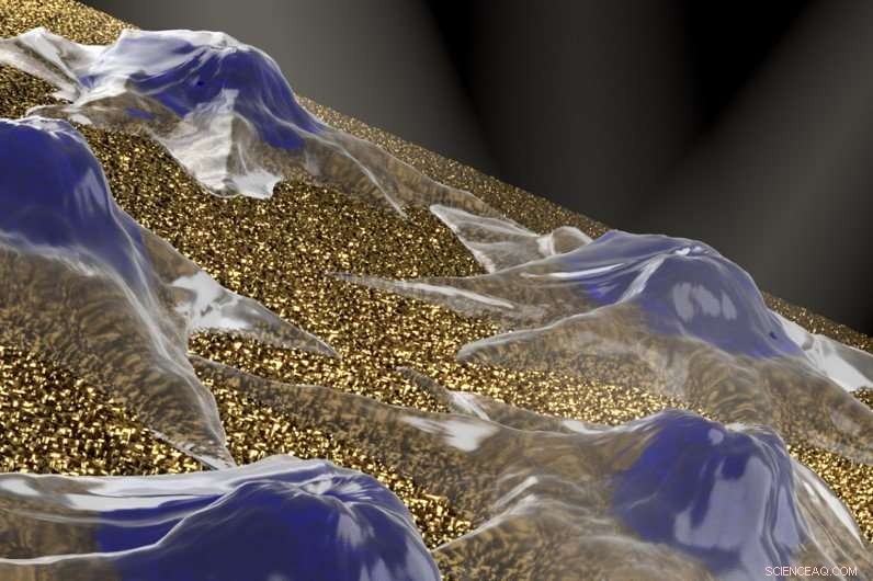 Nanomushroom Sensors: A Versatile Material for Advanced Biological Detection