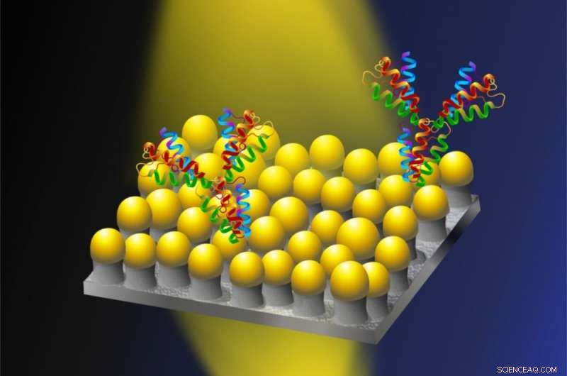 Nanomushroom Sensors: A Versatile Material for Advanced Biological Detection
