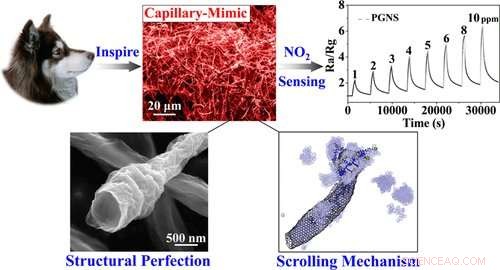 How a Dog s Nose Inspires Advanced Gas Sensor Materials