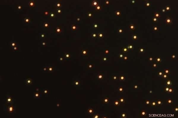 Revolutionary Imaging Technique Consolidates Plasmonic Data