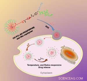 Star‑Shaped Nanoparticles Release Drugs Only After Cell Entry, Enhancing Targeted Therapy