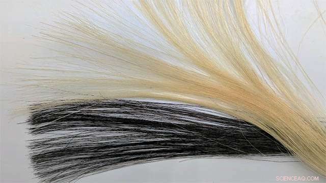 Graphene Breakthrough: Safe, Non-Toxic, Anti-Static Hair Dye