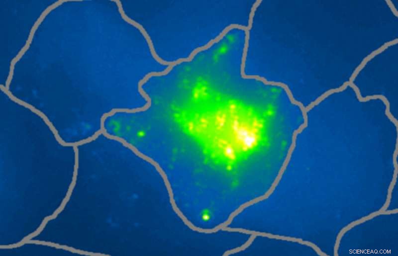 Revolutionary Nano-Probe Detects Live Cancer Cells with Unprecedented Precision