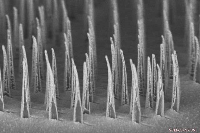 UCLA’s Nanospears Enable Precise Gene Delivery to Target Cells