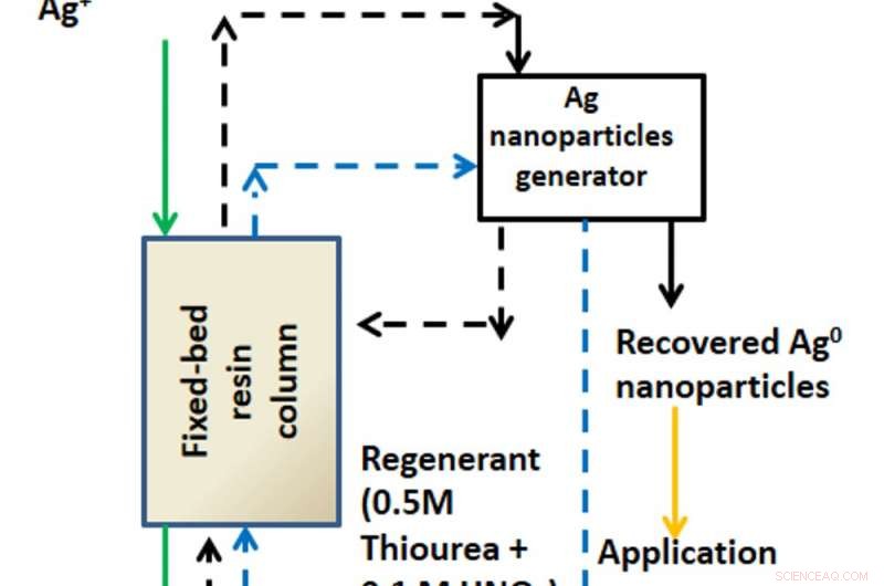 Silver Nanoparticles in Laundry: Hidden Threats to Human Health and the Environment