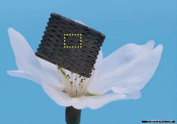 Stretchable Carbon Aerogels Open New Horizons for Advanced Applications