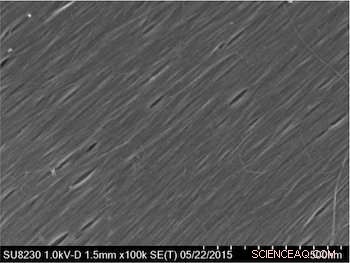 Carbon Nanotube Quantum Wells Show Novel Plasmon Excitation