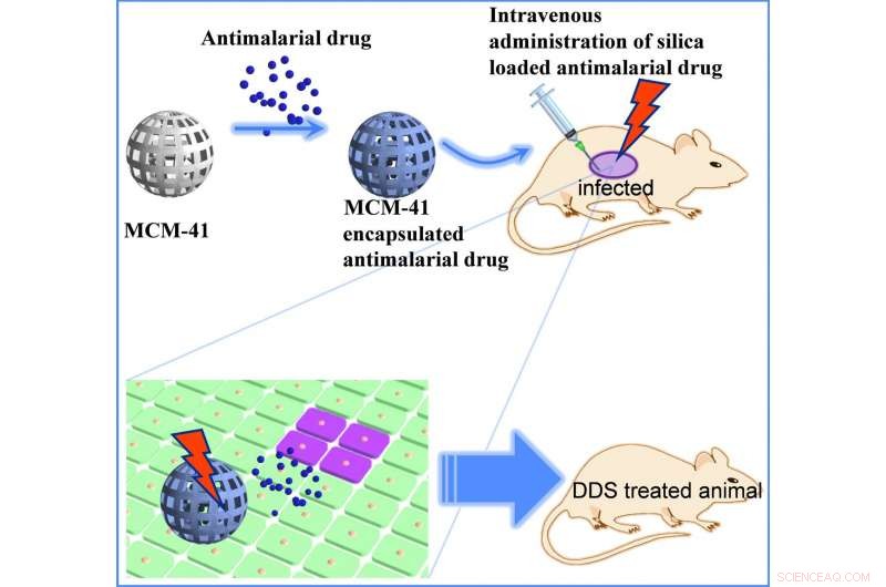 Innovative Mesoporous Silica Nanoparticle System Offers Breakthrough Antimalarial Delivery