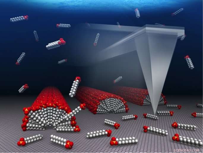 Researchers Achieve Precise Molecular Alignment on Graphene Surfaces