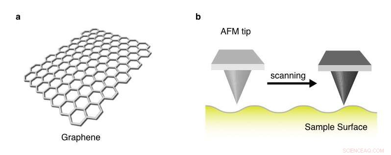 Researchers Achieve Precise Molecular Alignment on Graphene Surfaces