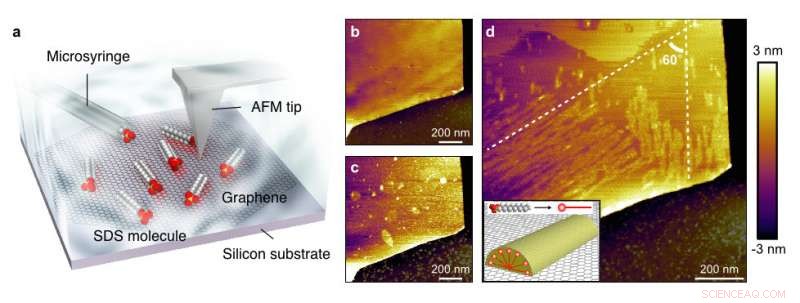 Researchers Achieve Precise Molecular Alignment on Graphene Surfaces