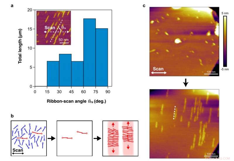 Researchers Achieve Precise Molecular Alignment on Graphene Surfaces