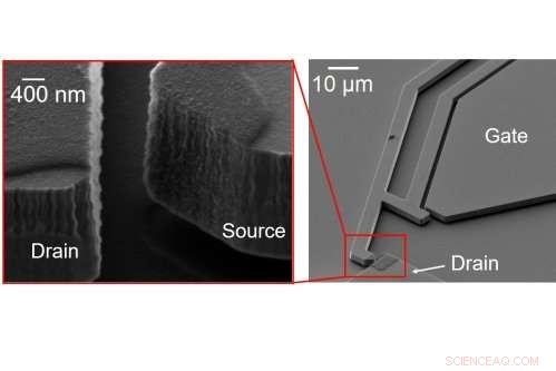 Nanocrystalline Graphite Paves Way for Durable Electronics in Extreme Environments