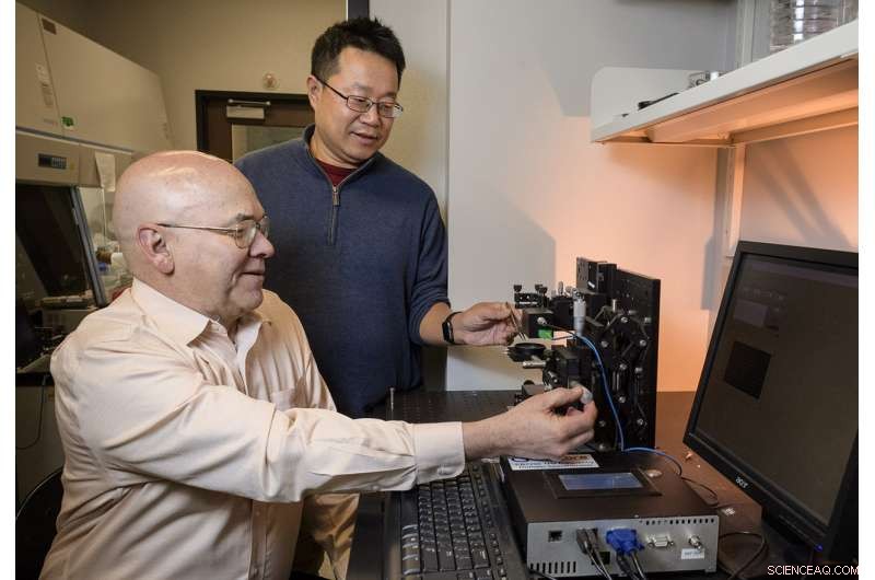 Pioneering Research Unlocks New Technological Horizons with Graphene