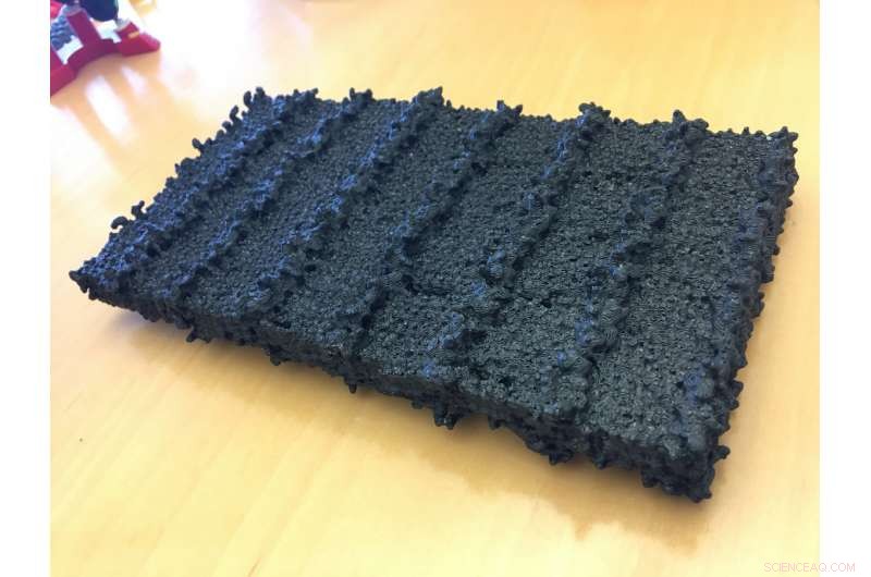 New Sugar-Coated Nanosheets Enable Precise Pathogen Targeting