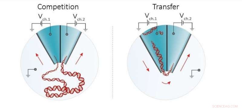 Biological Molecule Detection Boosted 100× by Dual Nanopore Sensors