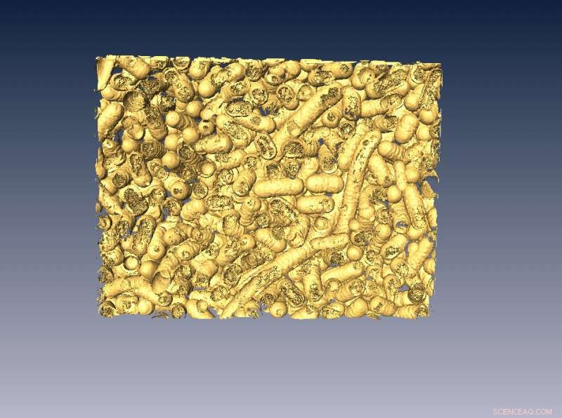 RMIT Scientists Develop Light-Driven Nanozyme to Eliminate Bacteria