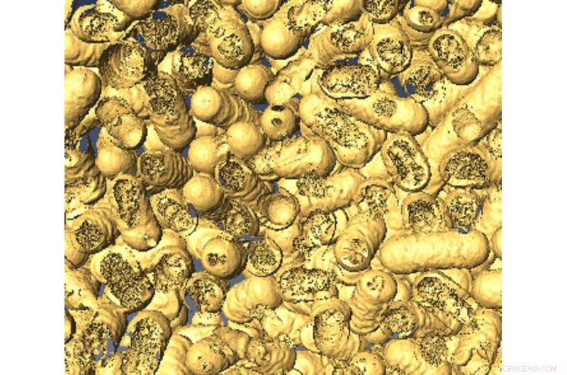 RMIT Scientists Develop Light-Driven Nanozyme to Eliminate Bacteria