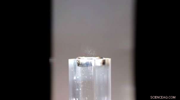 Revolutionary Sun‑Powered Hydrogel System Offers Clean Water Everywhere