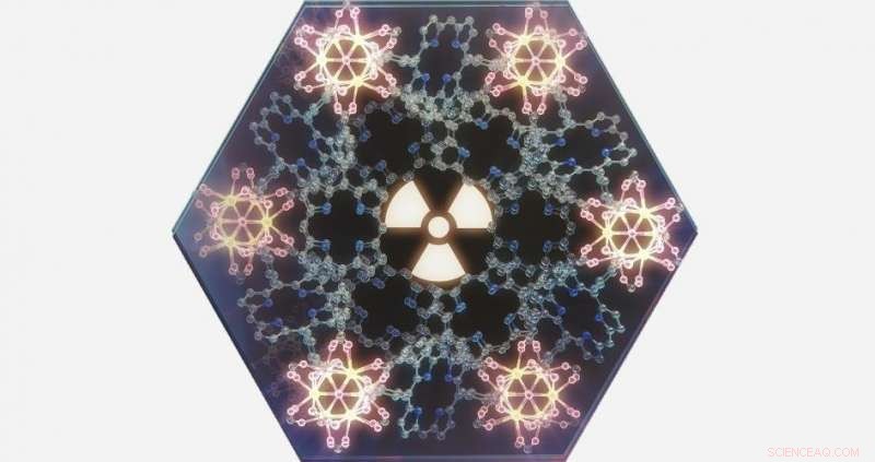 Scientists Develop Metal‑Organic Nanoflower Arrays for Targeted Cancer Radiotherapy