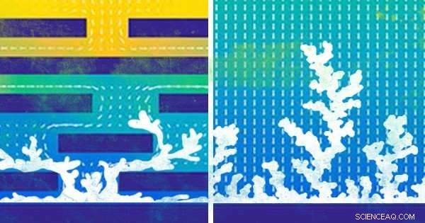 Researchers Target Dendrite Growth to Enhance Lithium Metal Battery Safety