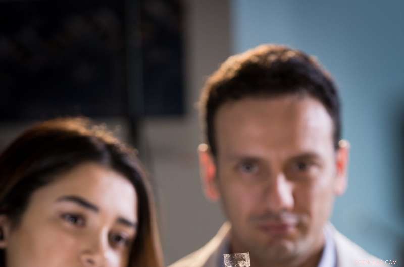 Transparent Patch Detects Foodborne Pathogens, Enhancing Packaging Safety