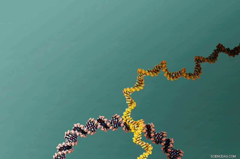 Bonn Researchers Achieve Milestone: Tiny Nanomachine Completes Successful Test Drive