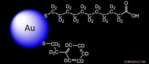 Mapping Self-Assembling Organic Molecules on Nanoparticle Surfaces