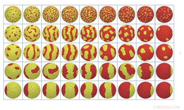 Mapping Self-Assembling Organic Molecules on Nanoparticle Surfaces