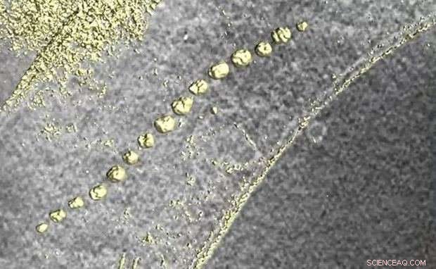 BESSY II Illuminates Construction of Magnetotactic Bacteria’s Internal Compass