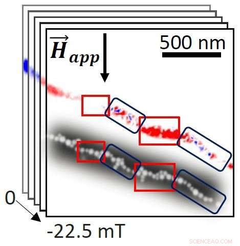 BESSY II Illuminates Construction of Magnetotactic Bacteria’s Internal Compass