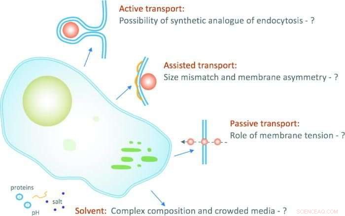 Bridging Lab-Designed Nanomaterials and Biological Complexity: A Course on Real-World Transport Challenges