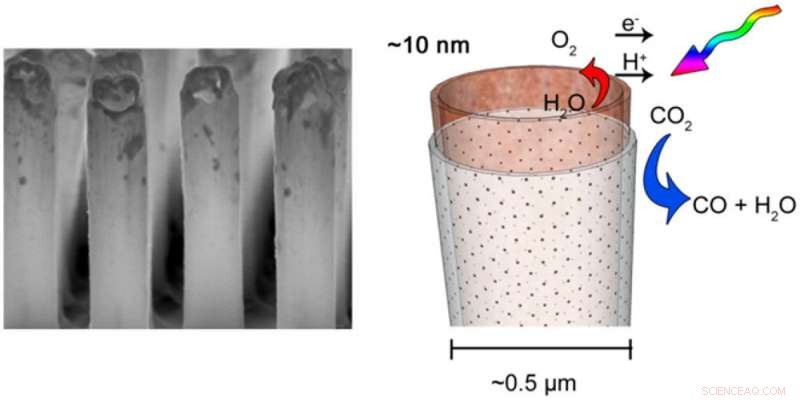 Efficient Core‑Shell Nanotube Arrays for Advanced Artificial Photosynthesis