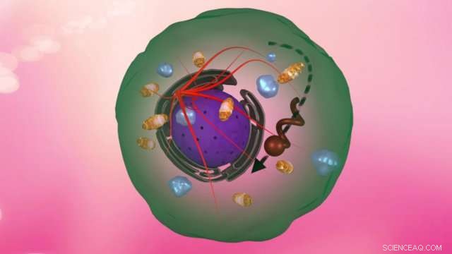 Magnetic-Field-Driven Nanomotor Navigates Inside Living Cells