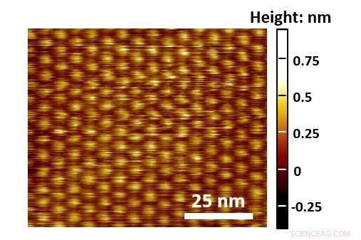 Harnessing Defects to Electrochemically Tune Single‑Layer Materials