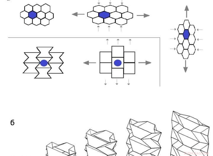 Graphene’s Elastic Properties Vary with Applied Force
