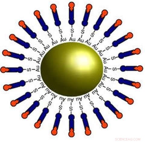 Nanomedicine Advances: Making Drugs Smarter with Innovative Design