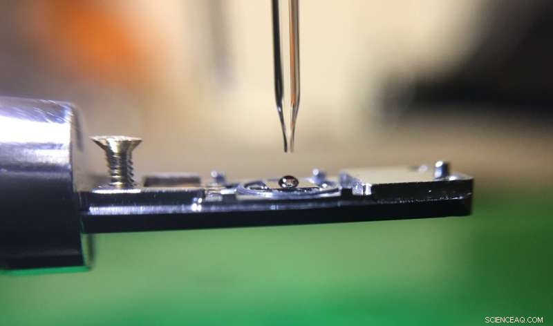 Real-Time 4D Imaging Reveals How Nanomaterials Form