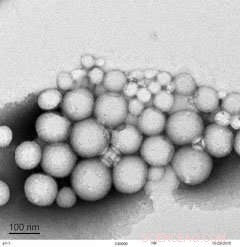 UNC Lineberger Discovers Nanoparticle Delivery Enhances Immunotherapy Combination