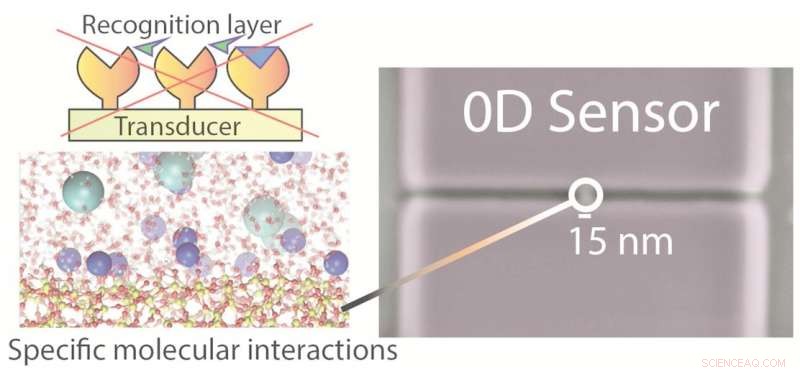 Novel Nanotransistor Enables Rapid Electrolyte Measurement in Blood