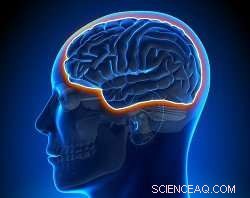 Unlocking the Mystery: Why Nanoparticles Struggle to Cross Biological Barriers