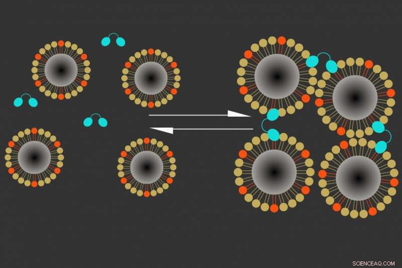 MIT s Calcium-Responsive MRI Sensor Boosts Brain Imaging Sensitivity