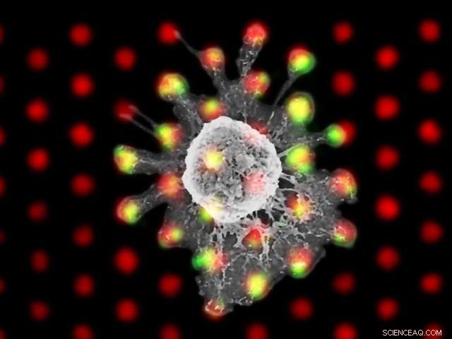 Geometry Drives T-Cell Activation: How Spatial Arrangement Triggers Immune Response