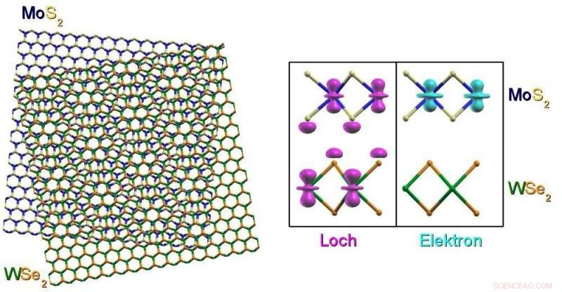 Electron–Hole Pairs in 2D Crystals: Fundamentals and Applications
