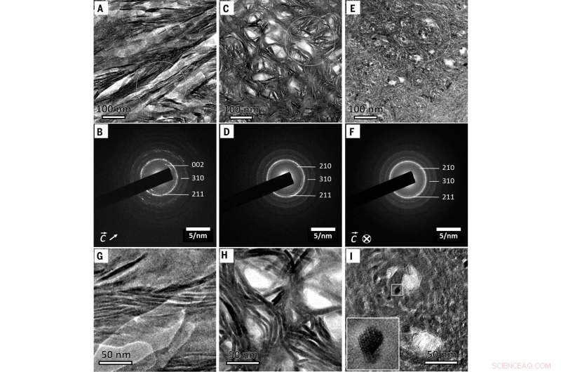 Unveiling the Intricate Nanostructure of Human Bone
