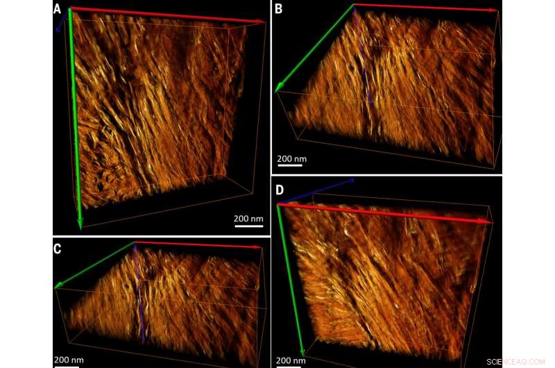 Unveiling the Intricate Nanostructure of Human Bone