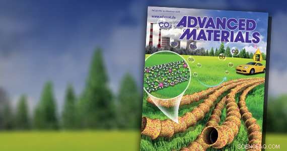 Revolutionary Single‑Atom Catalysts on Carbon Nanotubes Deliver Superior CO₂‑to‑CO Conversion