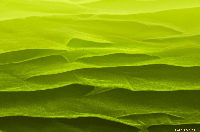 Scientists Produce Ultra‑Strong, Super‑Tough Carbon Sheets at Low Temperatures