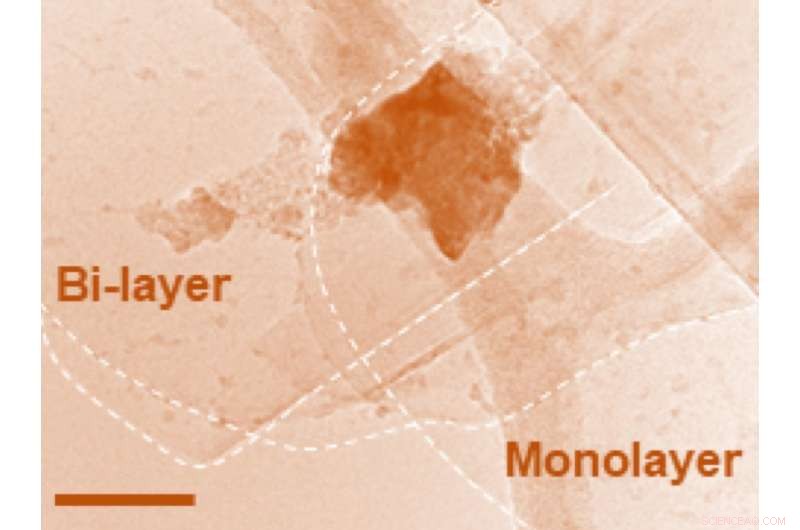 Hematene: Rice University Team Unveils First Non‑van der Waals 2‑D Material Extracted from Iron Oxide